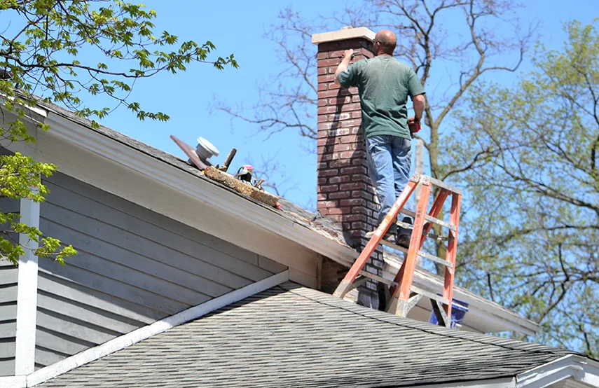 Chimney & Fireplace Inspections Services in Humble, TX